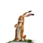 Sky Publishing's B0CQTC5MQ3: A 30-Page Children's Story for 2+ Years-0